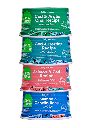Icelandic Fish Variety Pack for Dogs