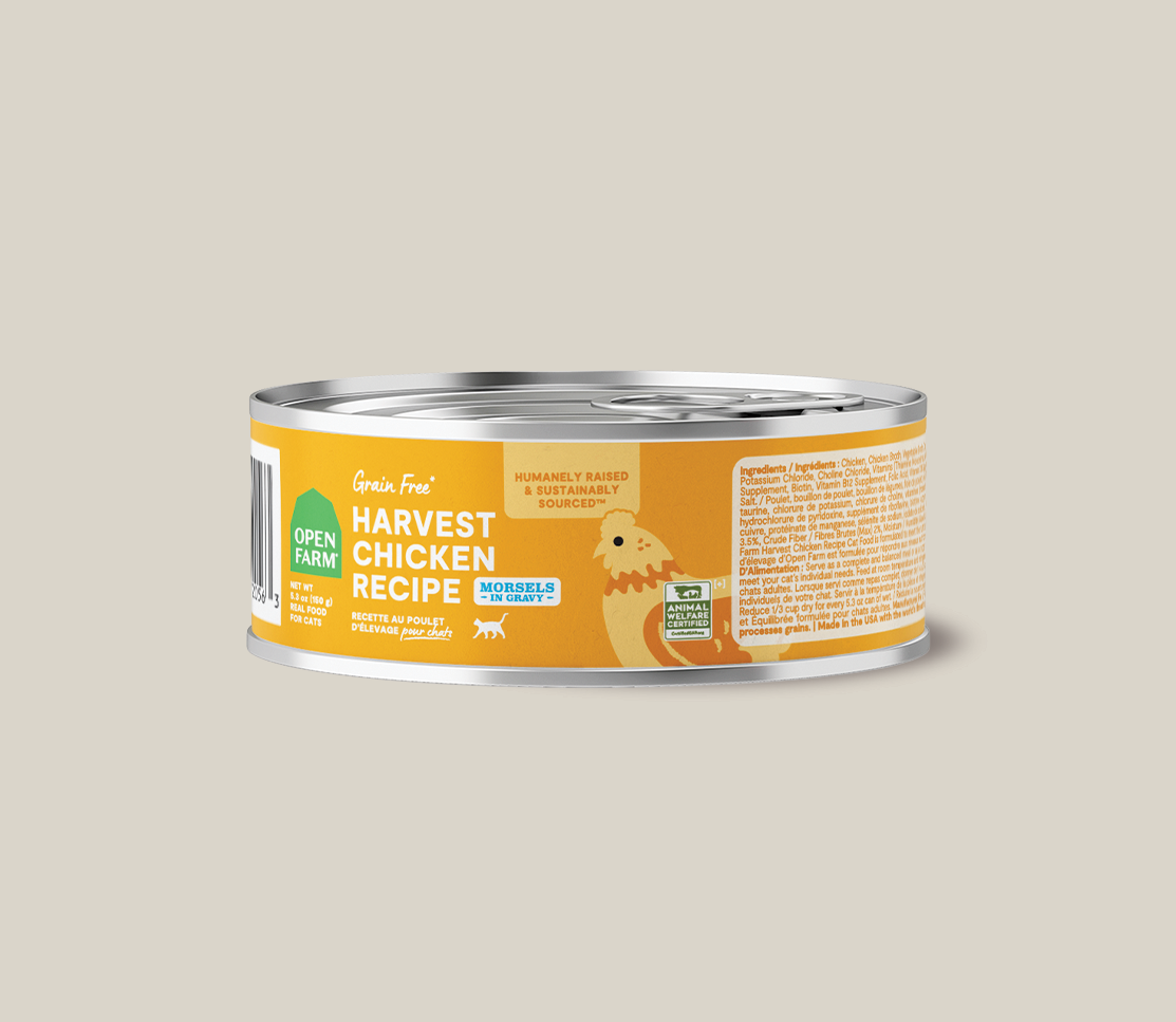 Harvest Chicken Morsels in Gravy for Cats
