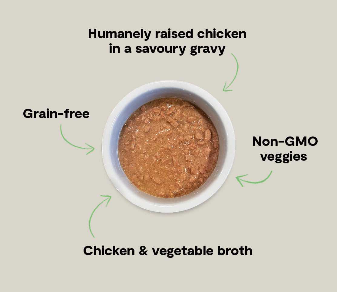 Harvest Chicken Morsels in Gravy for Cats