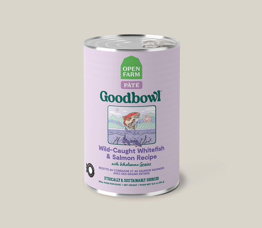 Goodbowl™ Wild-Caught Whitefish & Salmon Pâté for Dogs