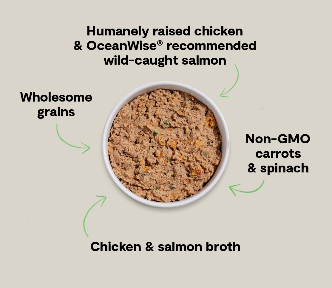 Goodbowl™ Harvest Chicken & Salmon Pâté for Dogs