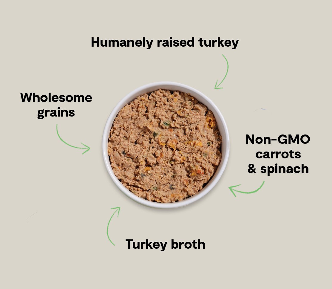 Goodbowl™ Homestead Turkey Pâté for Dogs