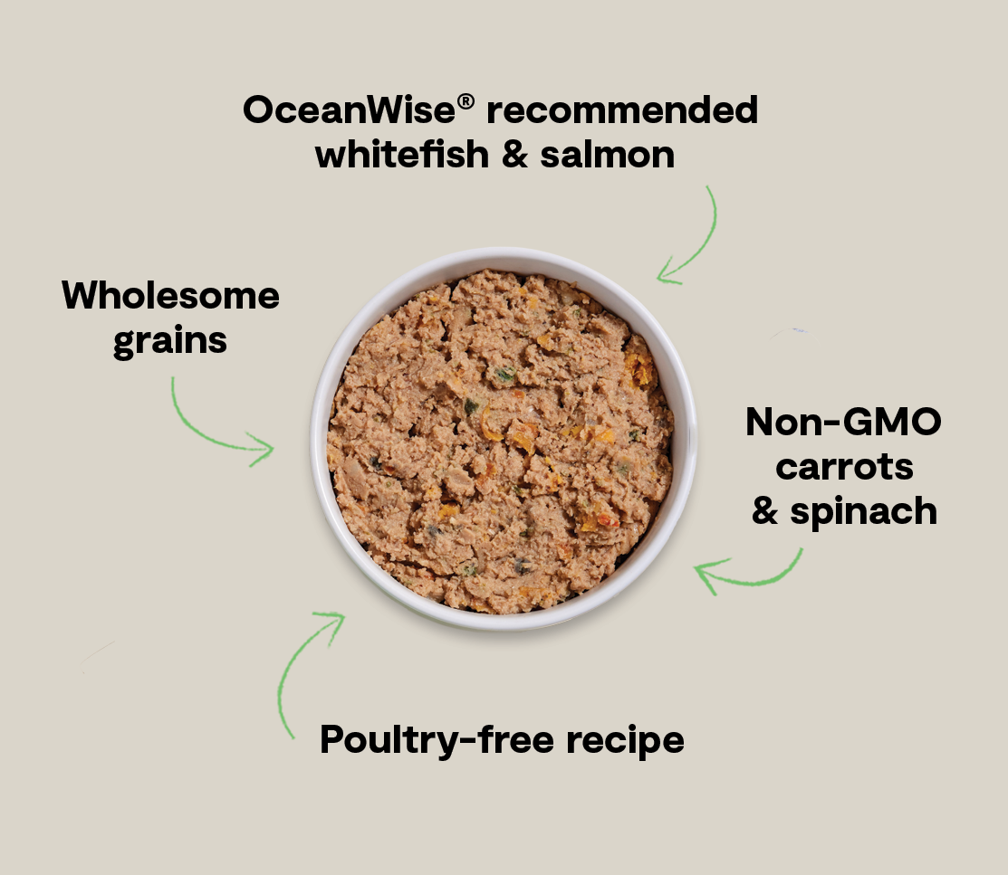 Goodbowl™ Wild-Caught Whitefish & Salmon Pâté for Dogs
