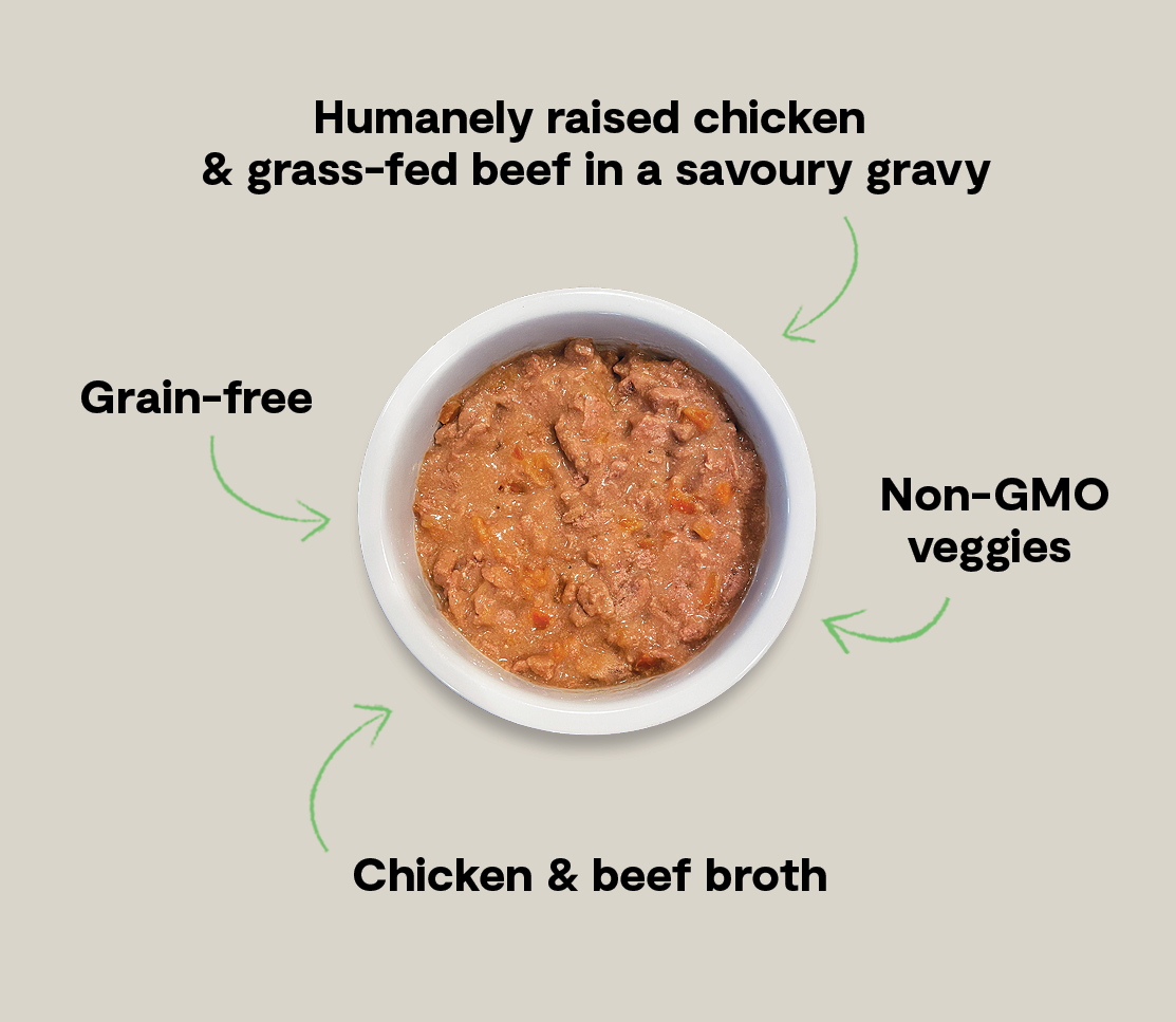 Chicken & Grass-Fed Beef Hearty Stew Wet Dog Food