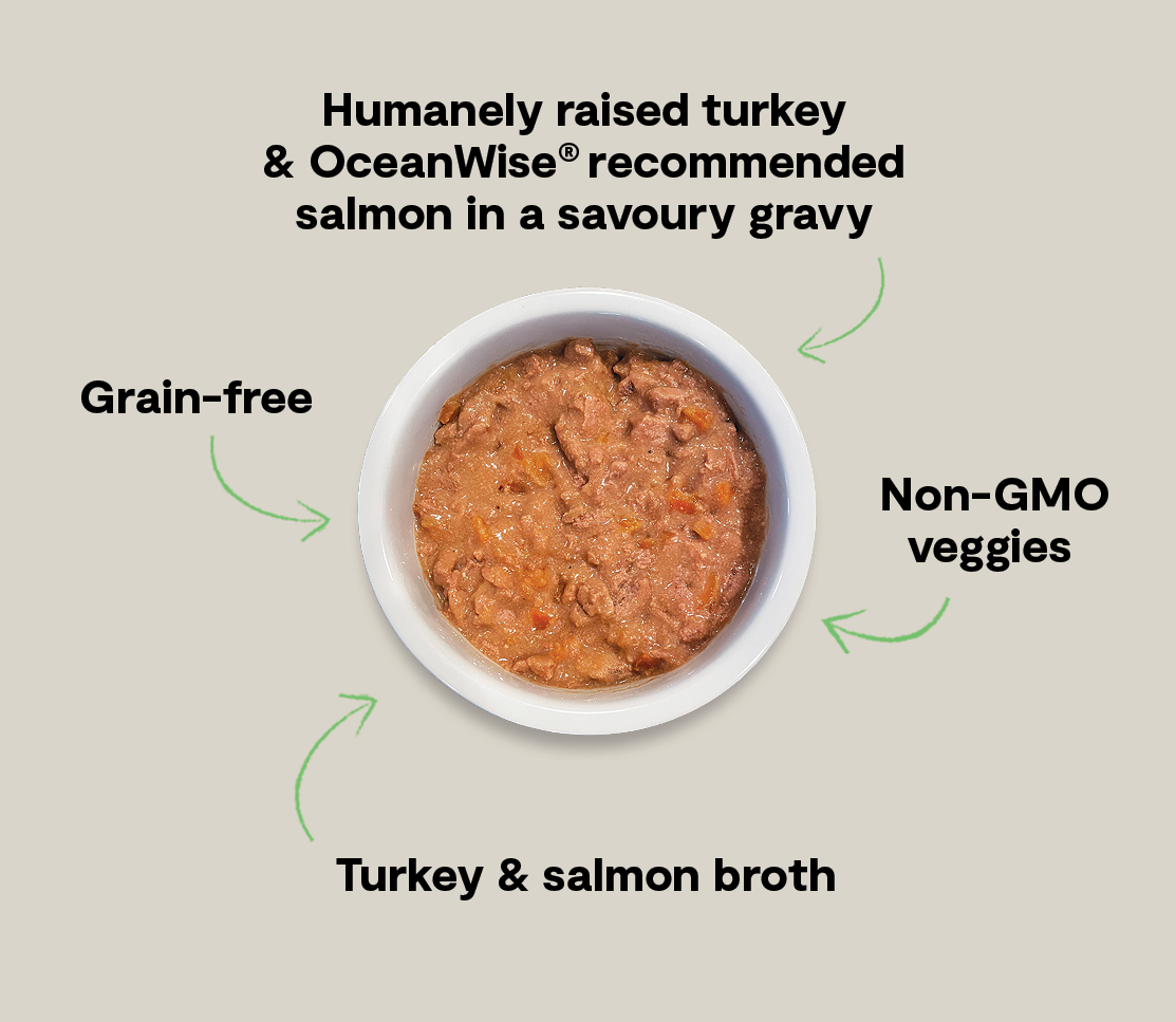 Turkey & Salmon Hearty Stew Wet Dog Food