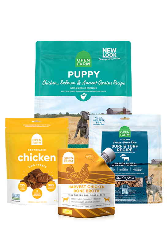 Ancient Grains Puppy Pack: Puppy Food Starter Kit Open Farm
