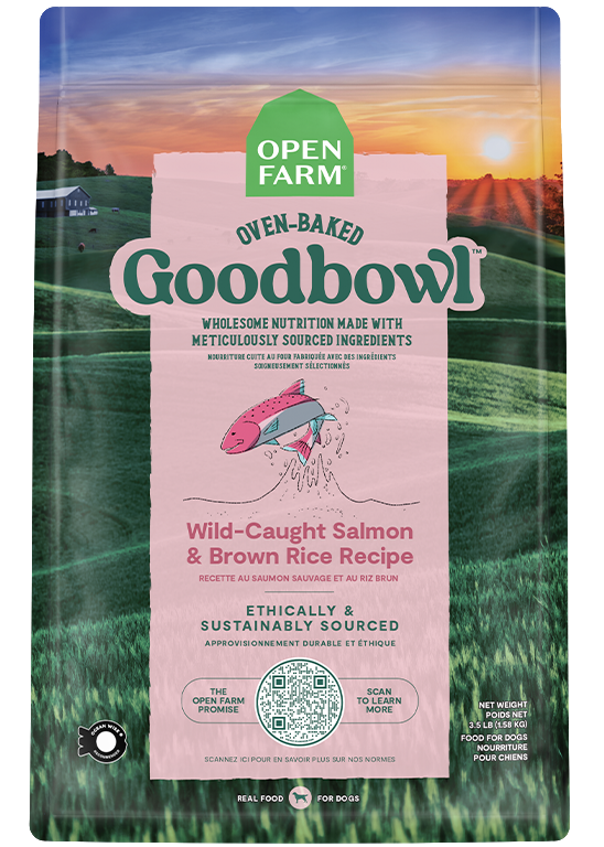 Goodbowl Salmon and Brown Rice Dog Food Open Farm