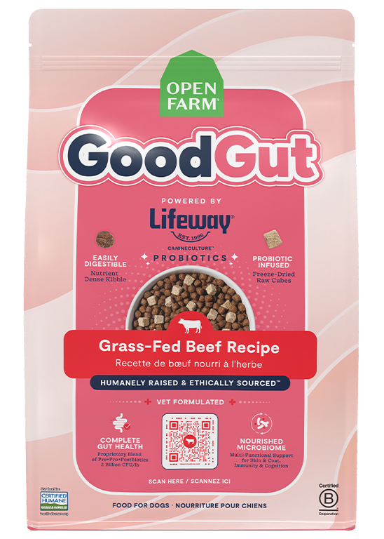 GoodGut Grass-Fed Beef Dog Kibble – Open Farm