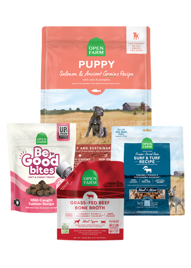 New Puppy Bundle