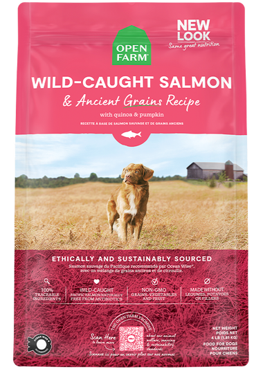 Wild-Caught Salmon & Ancient Grains Dog Kibble