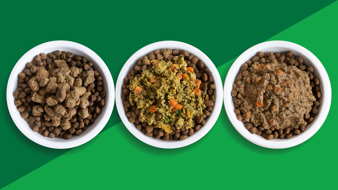 What Dog Food Recipe is Best For Your Dog?