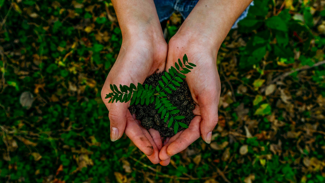 Celebrating Earth Day With Your Dog