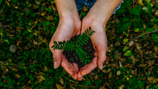 Celebrating Earth Day With Your Dog