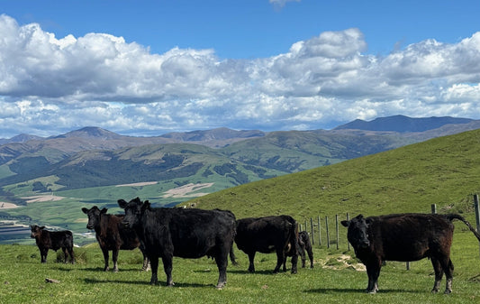 Small Changes, Big Impact: A Closer Look at Regenerative Agriculture