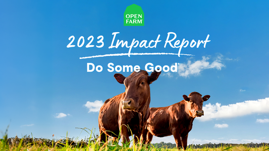 Our 2023 Impact Report