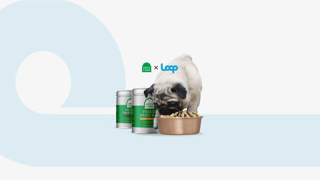 Our Dedication To Sustainability: The First Zero Waste Pet Food