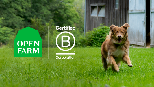 Cue the Zoomies: Open Farm is now a Certified B Corp™!