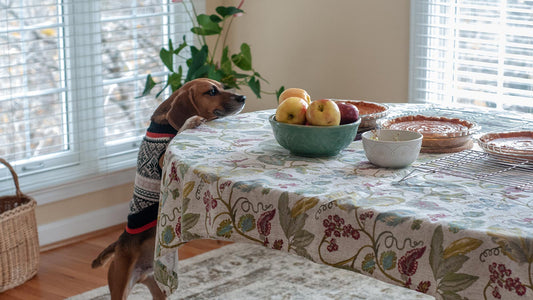 Dog in a sweater trying to eat a Thanksgiving pie off the dinner table