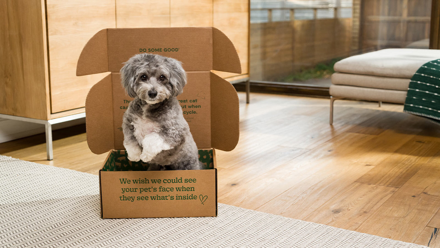 When Puppies Lose their Teeth | Open Farm