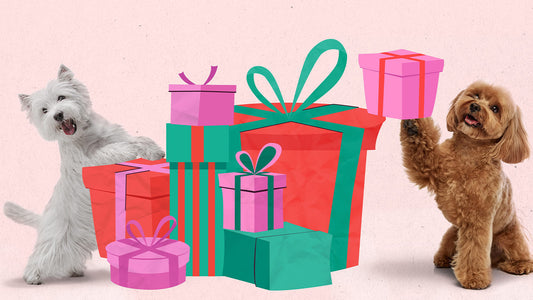 Two dogs, a white West Highland Terrier and a brown Poodle, play with gifts on a pink background, representing the theme of holiday shopping