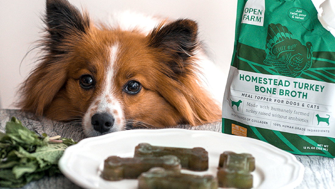 Open Farm Bone Broth Breath Treats for Dogs