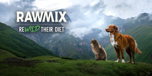 What is RawMix?: Raw Coated Kibble Made from Premium Ingredients