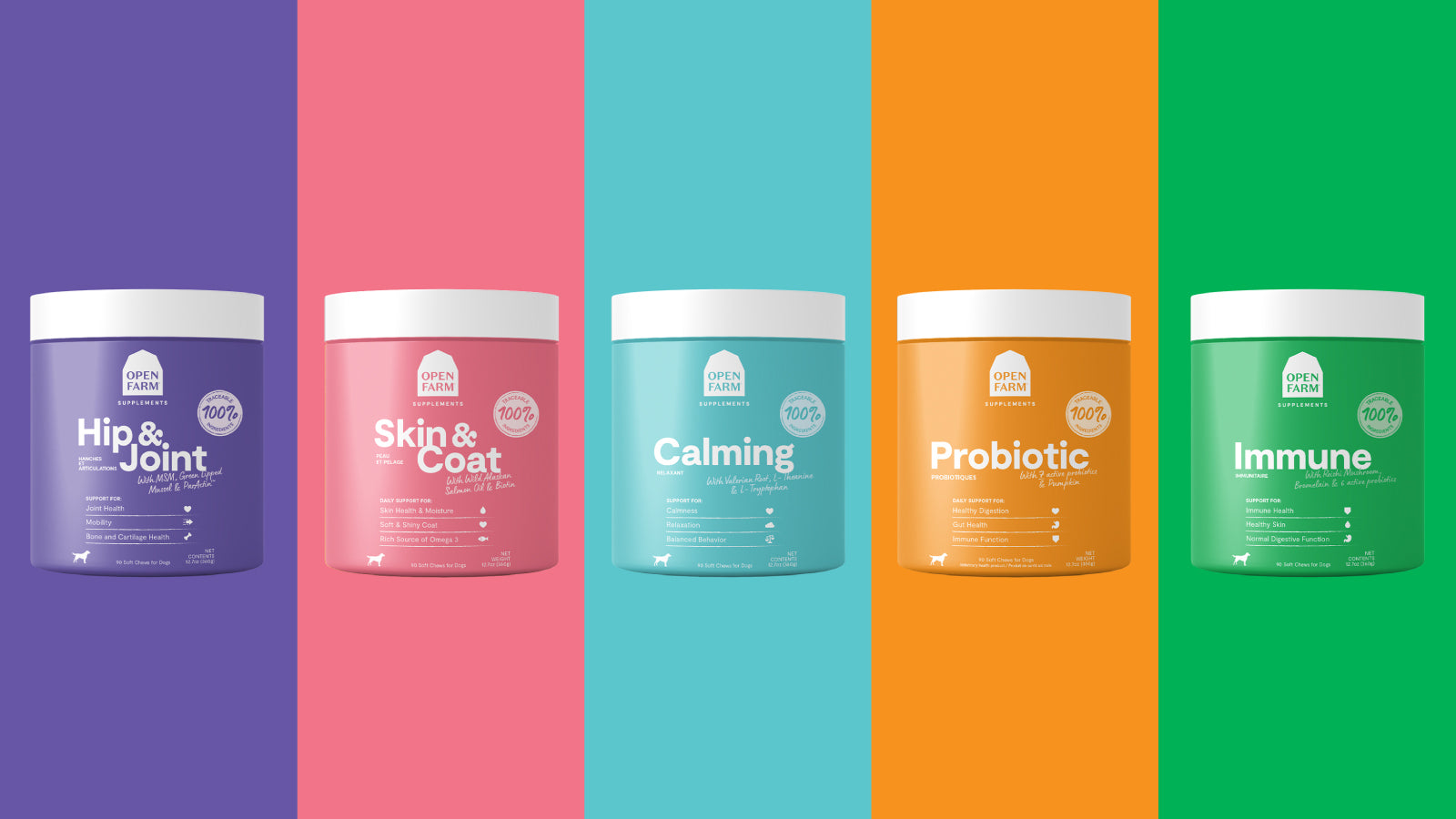 What Are Good Supplements to Add to Dog Food? | Open Farm