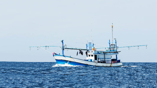 Fishing Industry Problems & Solutions - Fishing Boat - Open Farm