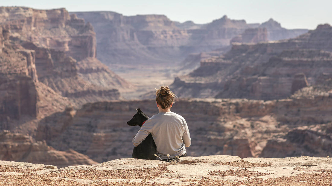 Open Farm What A Dog's Loyalty Can Teach Us