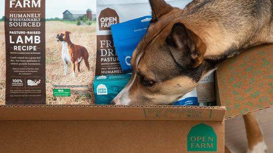 Open Farm How to Read Dog Food Labels