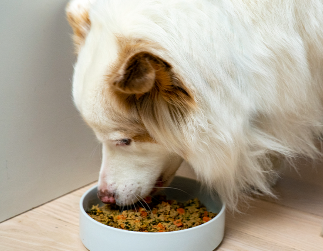 Open Farm's Gently Cooked Dog Food Serving Size Guide