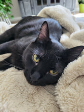 Binx
