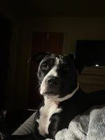 Marlowe