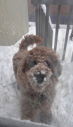Maggie 