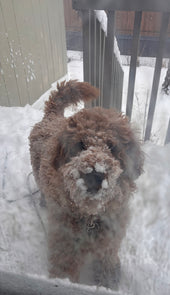 Maggie 