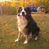 Lydia