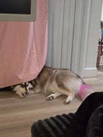 Kilala 