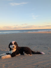 Kona 