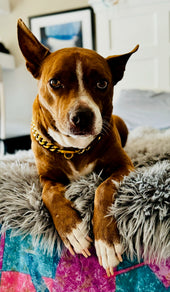 Diego 