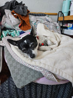 Lulu