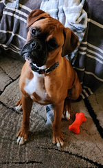 Jax