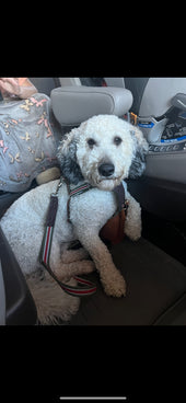 Opie 