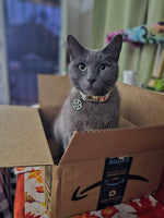 Cleo