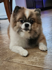 Luna