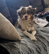 Luca
