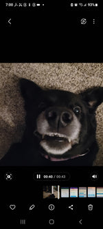 Dex