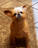 Maggie