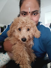 Krishna