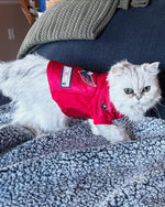 Puffy