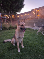 Athena